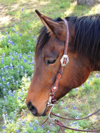 Headstalls